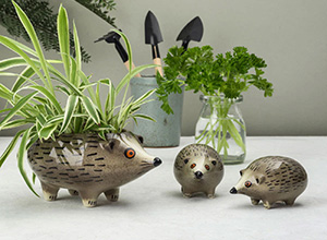 �v�����^�[�E�n���l�Y�~�i�w�b�W�z�b�O�j