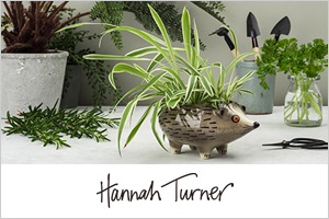 Hannah Turner